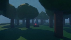 The woods