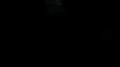 Backrooms THE FOREST