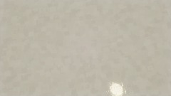 CANNON Founders Island Timeline [NOT FINISHED]