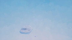 My Creation - 19/12/2020