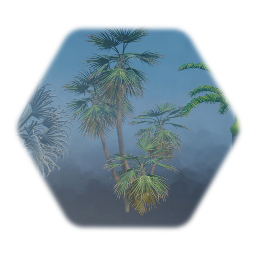 Bismarck, Everglades, and Spindle Palm  trees