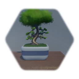 Community Garden 2.4: Bonsai