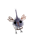 birqing