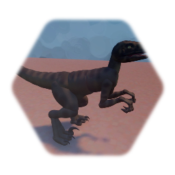Velociraptor