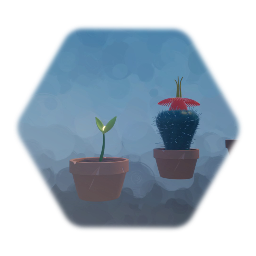 Flower pot + various plants