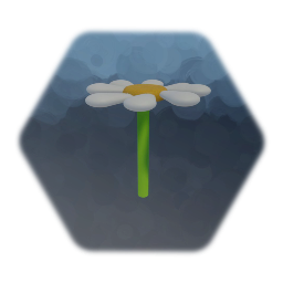 庭にあった花