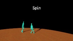 Spin