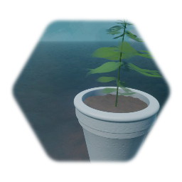 Potted Plant (14) (Snake Weeds)