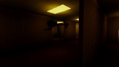 Backrooms from experience