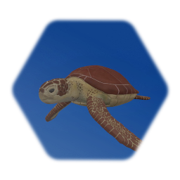 Green Sea Turtle