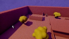 Reflection - The map