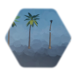 Tall Palm Trees