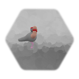 Workout Pigeon