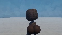 Sack Shaker but better