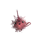 Hamster020