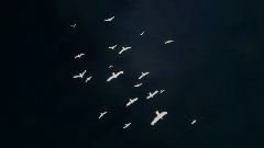 A screenshot taken in Dreams. 1 of 2.