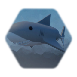 Shark