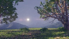 Realistic scences 3-Grass