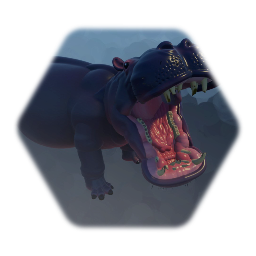 Hippopotamus