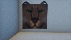 Raise A Floppa (OUTDATED)