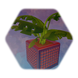 Plant 3