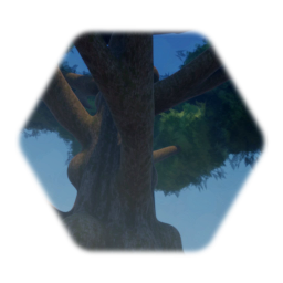 Khettavha Tree (In Fall With Moss)