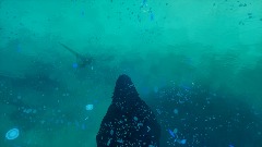 Underwater Madness