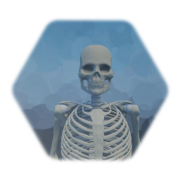 based skeleton