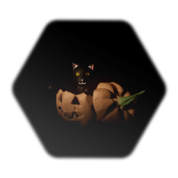 Cat in the pumpkin