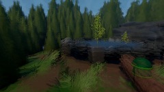 Vietnam scene