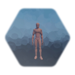 Muscular Template
