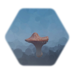 Mushroom/Fungus