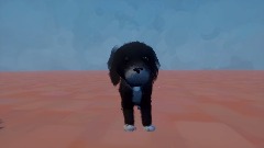 Very cute dog wilmmake u happy happy happy happy happy Vietname