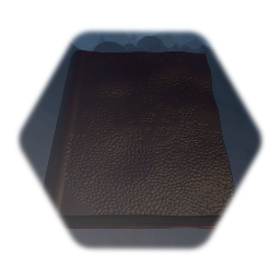 Detailed Leather Book