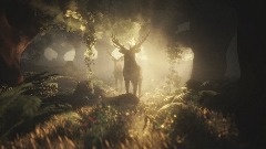 Forest Stag