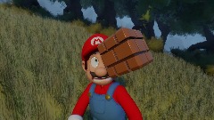 Mario gets hit by a Block