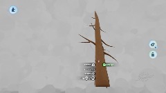 My Creation - 2/19/2020