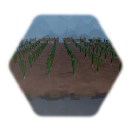 Field of onion