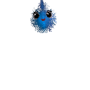 colombito16