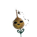 Lucathebeet232