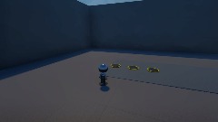 The robot