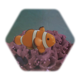 Clown Fish