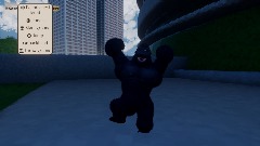 Gorilla roam