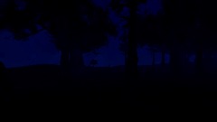 The zombie attack v.1.1