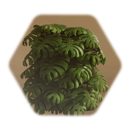Swiss Cheese Plant (Wall, Individual)