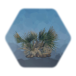 Saw Palmetto