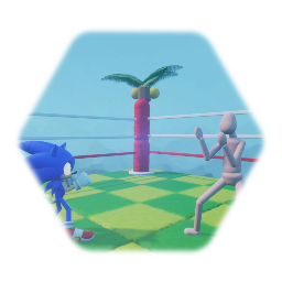 Sonic The Fighters/Sonic Championship Engine