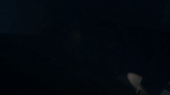 My Creation - 5/7/2019