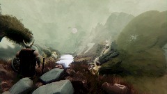 Fjord Viking ( unfinished )