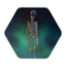 Skeleton
